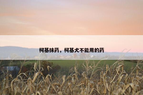 柯基抹药，柯基犬不能用的药