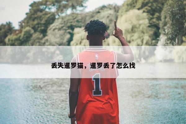 丢失暹罗猫，暹罗丢了怎么找