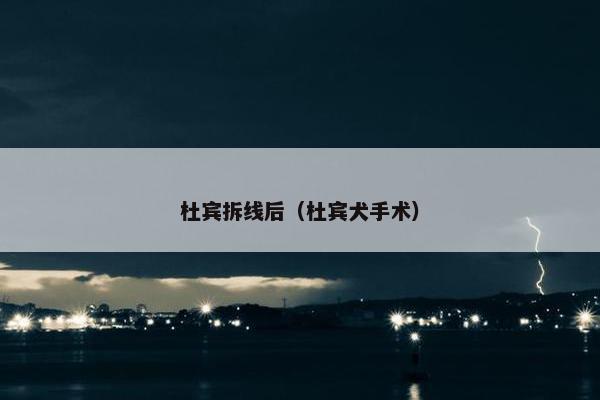 杜宾拆线后（杜宾犬手术）