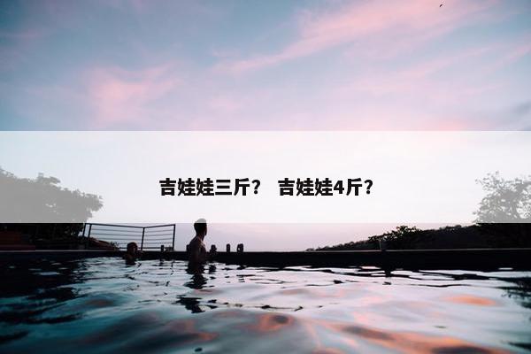 吉娃娃三斤? 吉娃娃4斤?