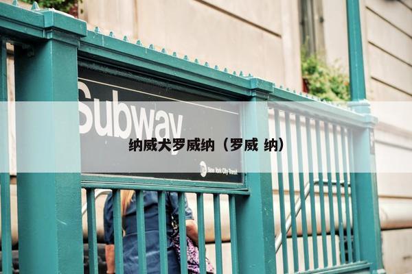 纳威犬罗威纳（罗威 纳）