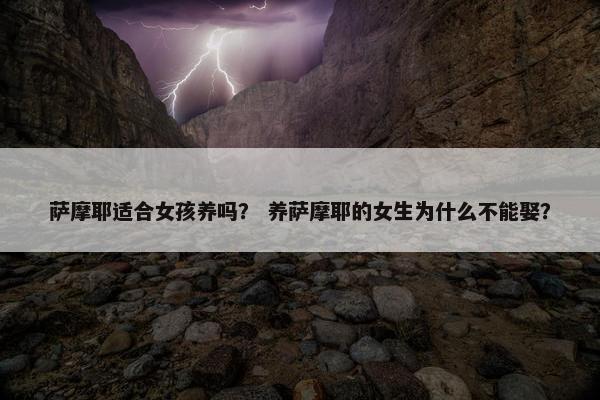 萨摩耶适合女孩养吗? 养萨摩耶的女生为什么不能娶?