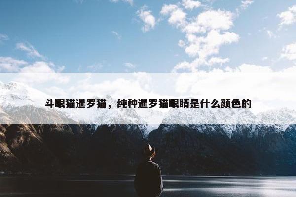 鸡眼