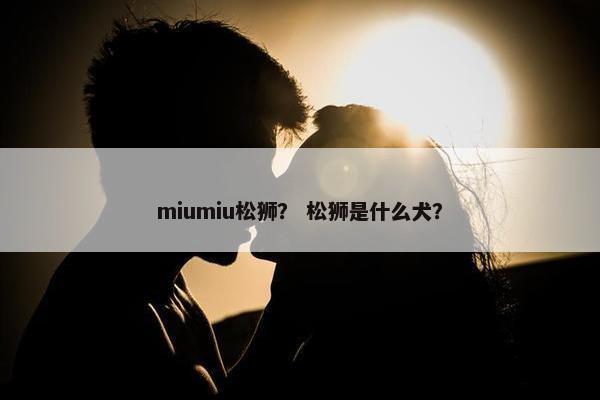 miumiu松狮？ 松狮是什么犬？