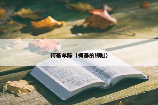 柯基羊蹄（柯基的脚趾）