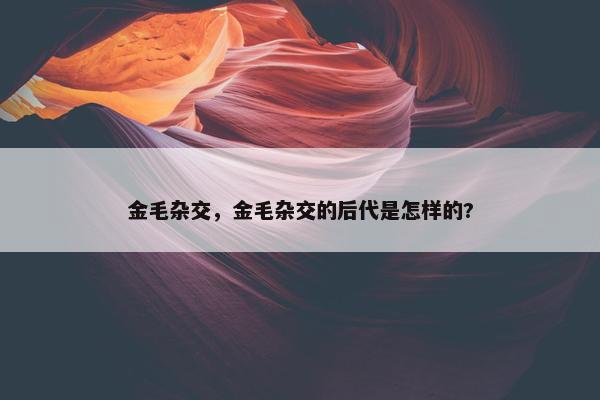 金毛杂交,金毛杂交的后代是怎样的?