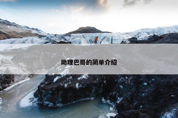 助理巴哥的简单介绍