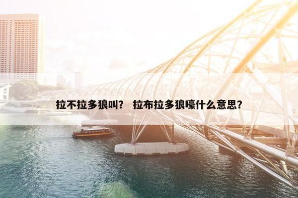 拉不拉多狼叫？ 拉布拉多狼嚎什么意思？