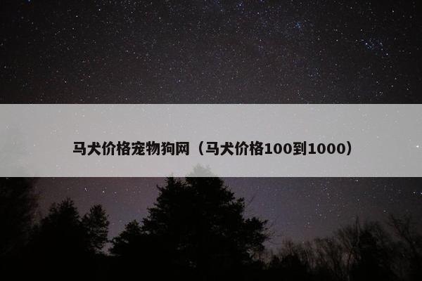 马犬价格宠物狗网(马犬价格100到1000)