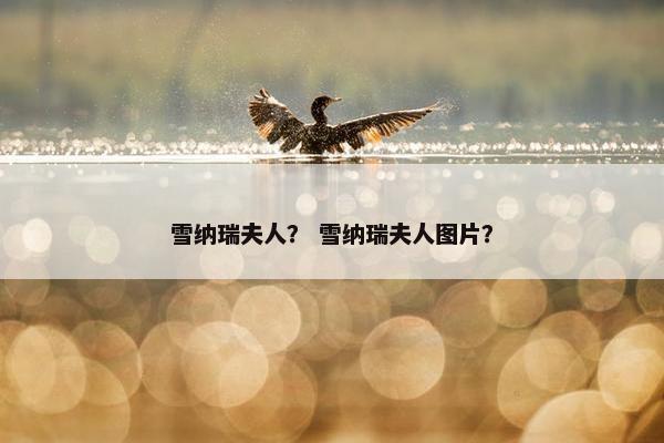 雪纳瑞夫人？ 雪纳瑞夫人图片？