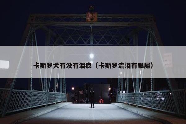 卡斯罗犬有没有泪痕（卡斯罗流泪有眼屎）