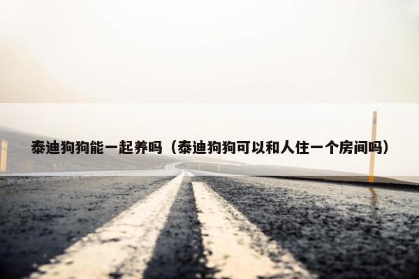 泰迪狗狗能一起养吗（泰迪狗狗可以和人住一个房间吗）