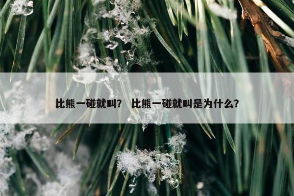 比熊一碰就叫? 比熊一碰就叫是为什么?