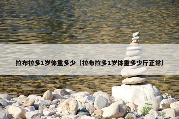 拉布拉多1岁体重多少（拉布拉多1岁体重多少斤正常）