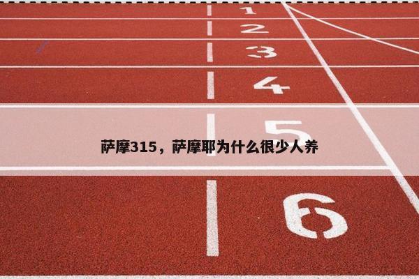 萨摩315，萨摩耶为什么很少人养