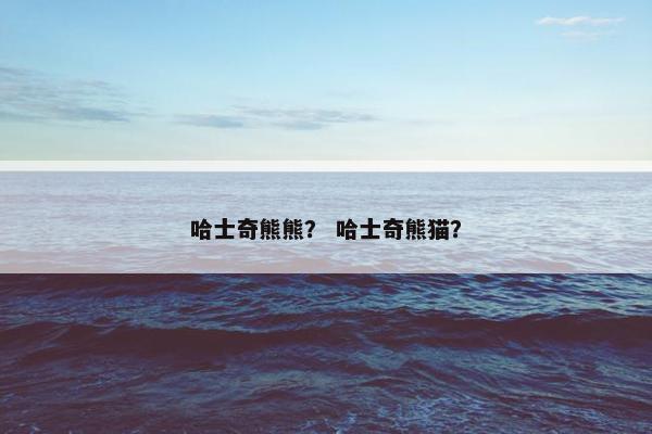 哈士奇熊熊？ 哈士奇熊猫？