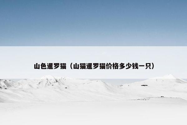 山色暹罗猫（山猫暹罗猫价格多少钱一只）