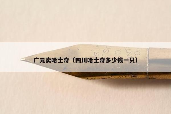哈士奇 第16页