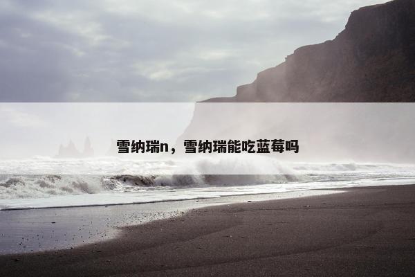 雪纳瑞n,雪纳瑞能吃蓝莓吗