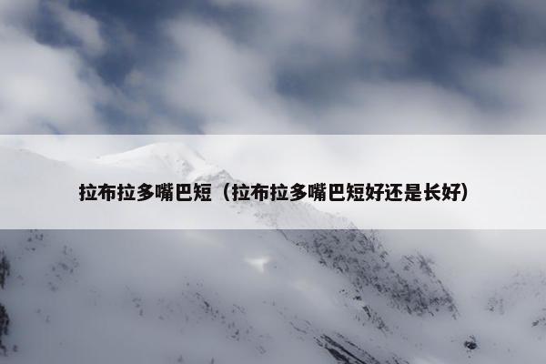 拉布拉多嘴巴短（拉布拉多嘴巴短好还是长好）