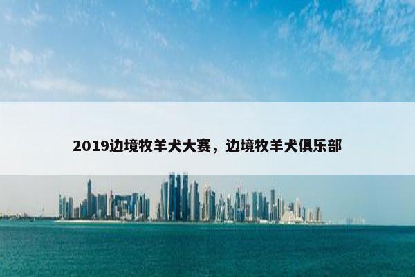 2019边境牧羊犬大赛，边境牧羊犬俱乐部