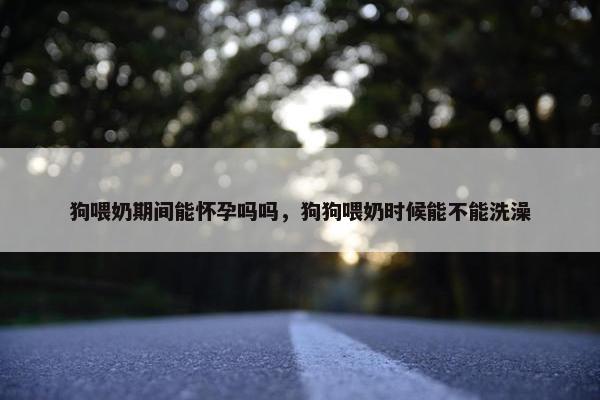 狗喂奶期间能怀孕吗吗，狗狗喂奶时候能不能洗澡