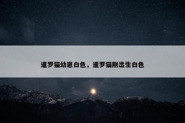 暹罗猫幼崽白色，暹罗猫刚出生白色
