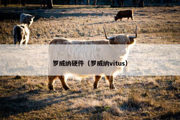 罗威纳硬件（罗威纳vitus）