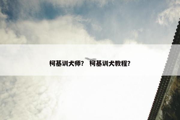 柯基训犬师？ 柯基训犬教程？