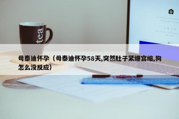母泰迪怀孕（母泰迪怀孕58天,突然肚子紧绷宫缩,狗怎么没反应）
