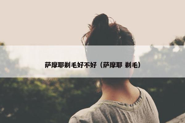 萨摩耶剃毛好不好（萨摩耶 剃毛）