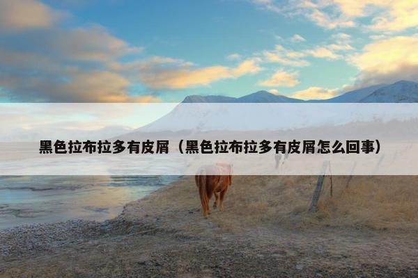 黑色拉布拉多有皮屑（黑色拉布拉多有皮屑怎么回事）