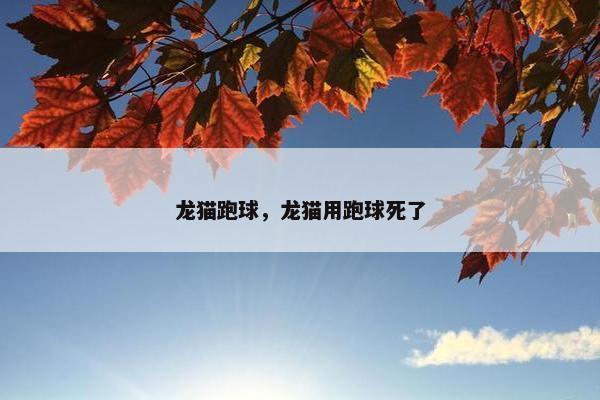 龙猫跑球，龙猫用跑球死了