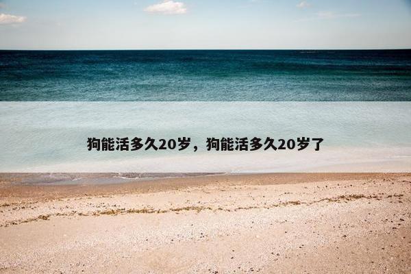 狗能活多久20岁,狗能活多久20岁了