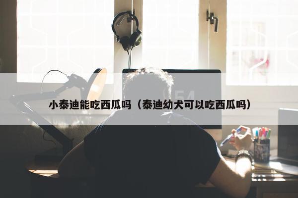 小泰迪能吃西瓜吗（泰迪幼犬可以吃西瓜吗）