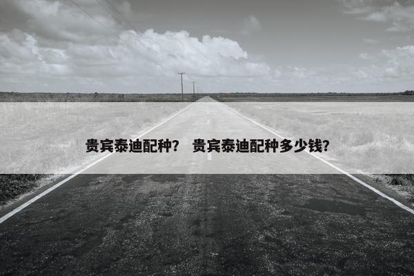 贵宾泰迪配种？ 贵宾泰迪配种多少钱？