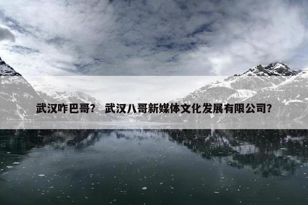 武汉咋巴哥? 武汉八哥新媒体文化发展有限公司?