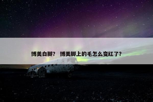 博美白脚? 博美脚上的毛怎么变红了?