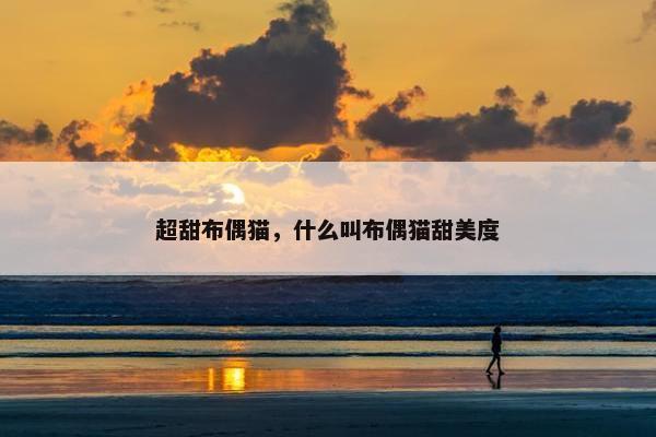 超甜布偶猫，什么叫布偶猫甜美度
