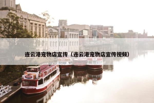 连云港宠物店宣传（连云港宠物店宣传视频）