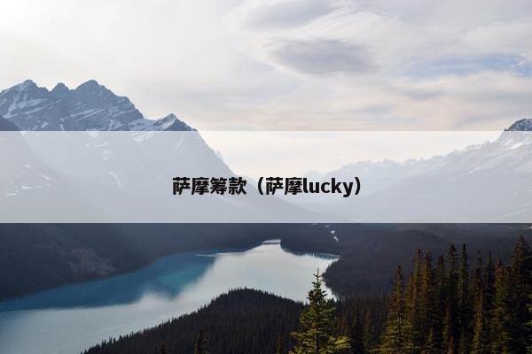 萨摩筹款（萨摩lucky）