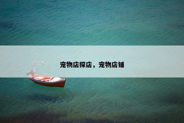 宠物店探店，宠物店铺