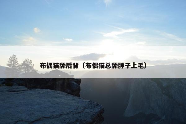 布偶猫舔后背（布偶猫总舔脖子上毛）