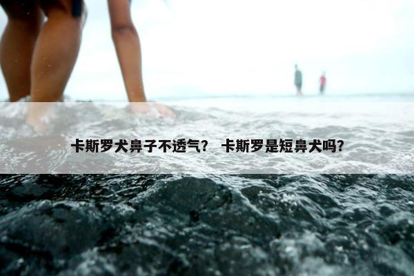 卡斯罗犬鼻子不透气？ 卡斯罗是短鼻犬吗？