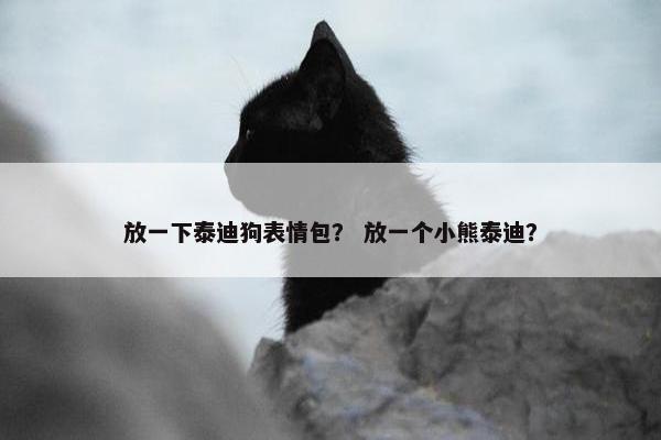 放一下泰迪狗表情包？ 放一个小熊泰迪？