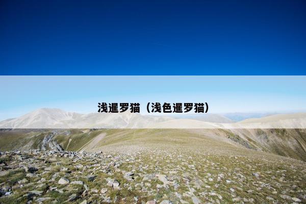 浅暹罗猫（浅色暹罗猫）