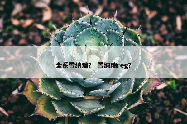 全系雪纳瑞？ 雪纳瑞reg？