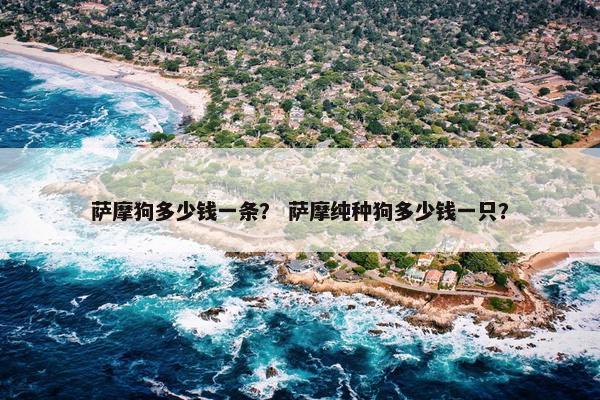 萨摩狗多少钱一条？ 萨摩纯种狗多少钱一只？