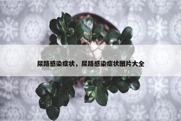 尿路感染症状，尿路感染症状图片大全