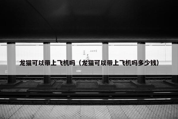龙猫可以带上飞机吗（龙猫可以带上飞机吗多少钱）